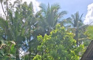 Tumbuh Lebih Tinggi, Sejahtera Lebih Cepat