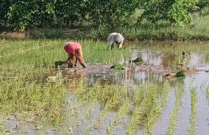 Mendung Kelabu Kebijakan Desa Ilustrasi