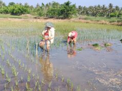 Menakar Kemandirian Ekonomi dan Integritas Pemimpin