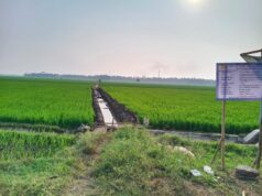Kelompok Tani Sri Budaya Siap Sulap 12 Hektar Lahan Bantarsari