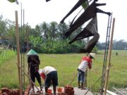 Dongkrak Ketahanan Pangan, Kementan Kucurkan Rp138 Juta untuk Optimasi Lahan Non-Rawa di Cilacap