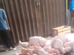 Harga Ayam dan Telur di Pasar Cipari Cilacap Anjlok, Warga Diserbu Berkah