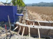 Saluran Irigasi Kaliputih Segera Diperbaiki